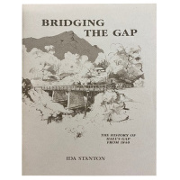 bridging_the_cap