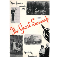 dear_friends_-_the_great_swamp_condah