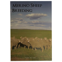 merino-sheep-breeding