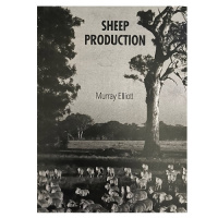 sheep-production